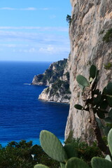 Via Krupp seen from the Gardens of Augustus. Capri island, Gulf of Naples, Campania region, Italy