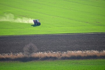 Tractor in the field in spring time. Green field in spring and work on cultivating the soil. Concept for agriculture.