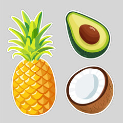 Tropical set Pineapple, avocado and coconut. Isolated illustration on white background. Vector