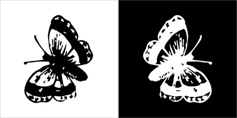  Illustration vector graphics of butterfly icon