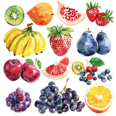 A collection of different types of fruits. watercolor