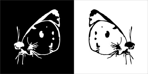  Illustration vector graphics of butterfly icon