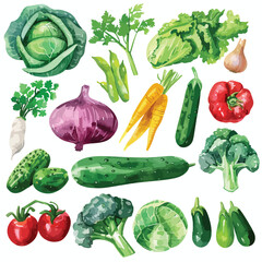 A collection of different types of vegetables. waterc