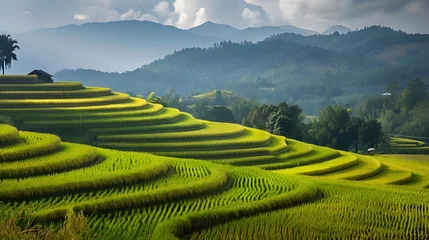 Badkamer foto achterwand Thailand. Rice terraces agricultural sceneries. Rice fields with asian farmers. Vector illustration. People planting and grow rice in rainy season. © Ziyan Yang