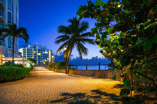 San Juan City Sunrise Landscape with tropical trees,  buildings, and brick road along Pedestrian Shore Road around El Boquer&oacute;n Bay and Balneario Condado Beach in Puerto Rico