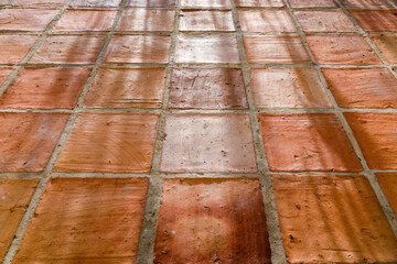 Perspective view of a rustic clay floor illuminated by the light of sunset, with the shadows of plants, in a farm in the eastern Andean mountains of central Colombia.