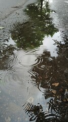puddles on the asphalt.