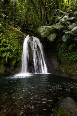 Fototapeta na wymiar Pure nature, a waterfall with a pool in the forest. The Ecrevisses waterfalls, Cascade aux écrevisses on Guadeloupe, in the Caribbean. French Antilles, France