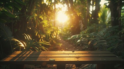 Drewniana ławka stoi samotnie w środku lasu. Słońce przebija się przez gałęzie drzew, tworząc ciekawe cienie na ziemi. - obrazy, fototapety, plakaty