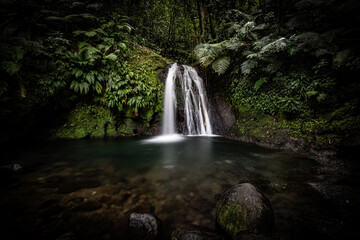 Pure nature, a waterfall with a pool in the forest. The Ecrevisses waterfalls,
Cascade aux écrevisses on Guadeloupe, in the Caribbean. French Antilles, France