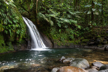 Pure nature, a waterfall with a pool in the forest. The Ecrevisses waterfalls,
Cascade aux...