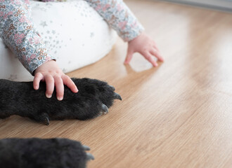 baby touching a black dog on the floor