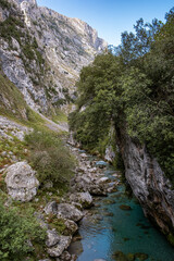Person exploring river during summer in natural mountain range of picos de europa, europa peaks, cantabria, spain
