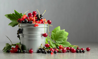 Cherries, red and black currants in a small metal bucket.