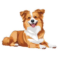 Vector pomeranian dog cartoon on an isolated background