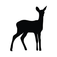 deer illustration in vector form