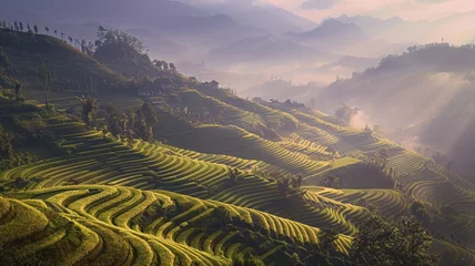 Foto auf Acrylglas Lavendel Panoramic view of terraced rice fields in the misty mountain landscape at sunrise