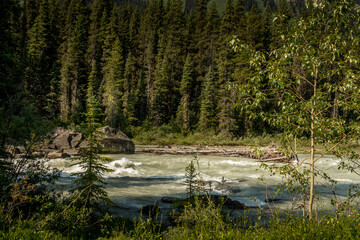 Kootenay River to Numa Falls Kootenay National Park British Columbia Canada