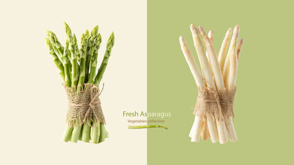 Fresh green and white asparagus isolated on pastel color background with copy space.