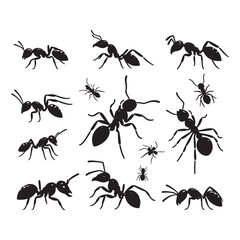 Tiny Titans: Vector Ant Silhouette - Capturing the Industriousness and Strength of Nature's Minuscule Worker. Minimalist ant illustration