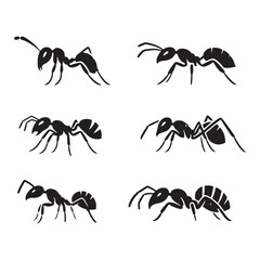 Tiny Titans: Vector Ant Silhouette - Capturing the Industriousness and Strength of Nature's Minuscule Worker. Minimalist ant illustration