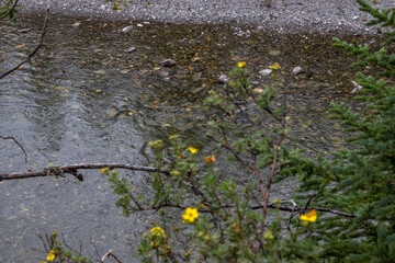 PRA Burnt Timber, MD of Big Horn, alberta, Canada