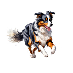 Australian shepherd playfully running watercolor illustration, cute dog pet clipart, dog breed