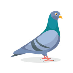 Cartoon character pigeon bird - 754301986