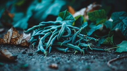  a pile of green beans sitting on top of a cement ground next to leaves and leaves on top of the ground. - obrazy, fototapety, plakaty
