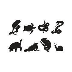 wild animal design - eps 10