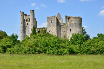 RUINES DU CH&Acirc;TEAU F&Eacute;ODAL DE PASSY LES TOURS XIV &eacute;me SI&Egrave;CLE
