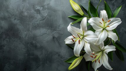 branch of white lilies flowers mourning or funeral background condolence card with copy space for text  - obrazy, fototapety, plakaty
