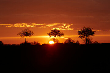 Obraz premium Sonnenaufgang im Sommer bei Erwitte-Horn, Langestrasse, Sommer 2023 