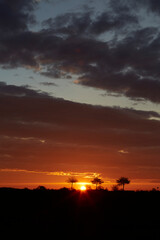Sonnenaufgang im Sommer bei Erwitte-Horn, Langestrasse, Sommer 2023 