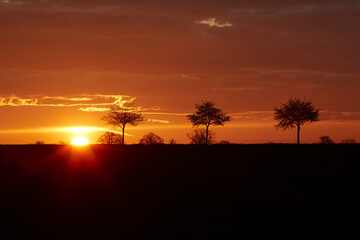Sonnenaufgang im Sommer bei Erwitte-Horn, Langestrasse, Sommer 2023 
