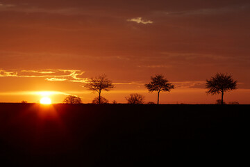 Sonnenaufgang im Sommer bei Erwitte-Horn, Langestrasse, Sommer 2023 