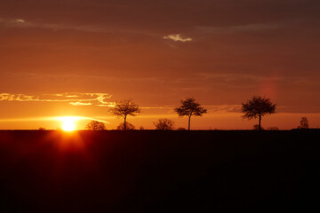 Sonnenaufgang im Sommer bei Erwitte-Horn, Langestrasse, Sommer 2023 