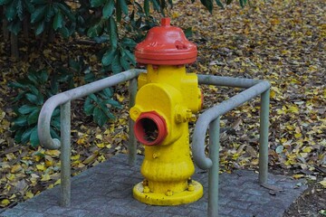 yellow fire hydrant