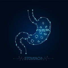 Fototapeta premium Stomach human in electronic form glowing between information connecting lines. Medical science of technology digital hi tech. Futuristic digital circuit board innovative health care. Vector EPS10.