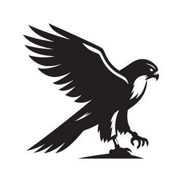 recommend clip art: Swoop and Soar: Vector Falcon Silhouette Collection for Majestic Bird of Prey Designs, Wildlife Illustrations, and Nature Artwork.