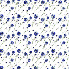 Watercolor seamless patterns with wildflowers, cornflowers, hare grass and hemlock