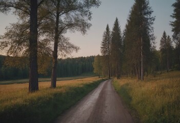 Fototapeta premium landscape with mountains, forest and a river in front. beautiful scenery
