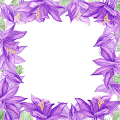 Fototapeta na wymiar Hand drawn watercolor purple aquilegia flowers frame border isolated on white background. Can be used for cards, label, scrapbook and other printed products.