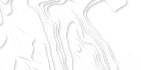 Topographic map background geographic line map with elevation assignments. The black on white contours vector topography stylized height of the lines map.	