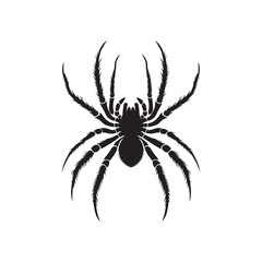 Creepy Crawlers: Vector Spider Silhouette Collection for Halloween Designs, Arachnid Illustrations, and Nature-themed Artwork. Black spider vector.