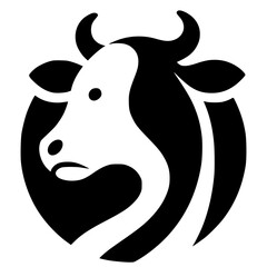 black and white cow