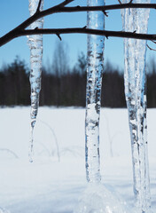 Hanging icicles