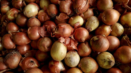Onions background