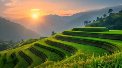 Papier Peint Lavable Rizières mountain landscape of Pa-Pong-Peang terrace paddy rice field at sunset