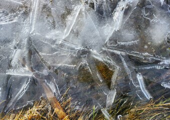 frosty background